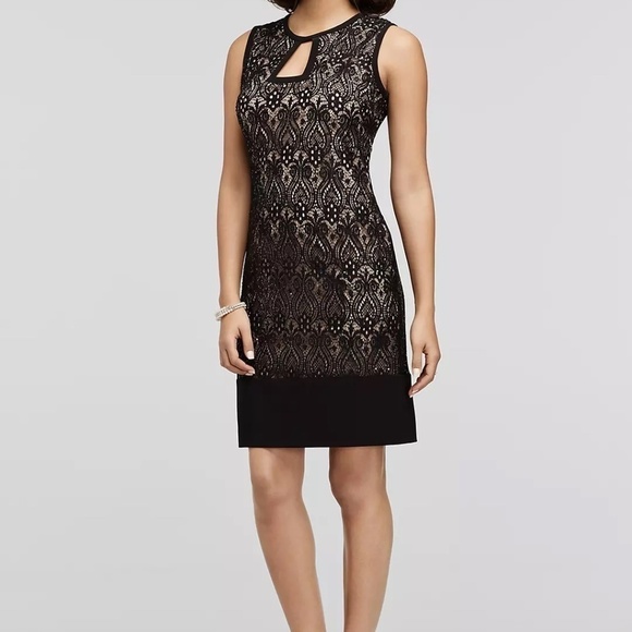 R&M Richards Short Lace Sheath Dress with Keyhole Neckline Size 12 NWT - Picture 1 of 7